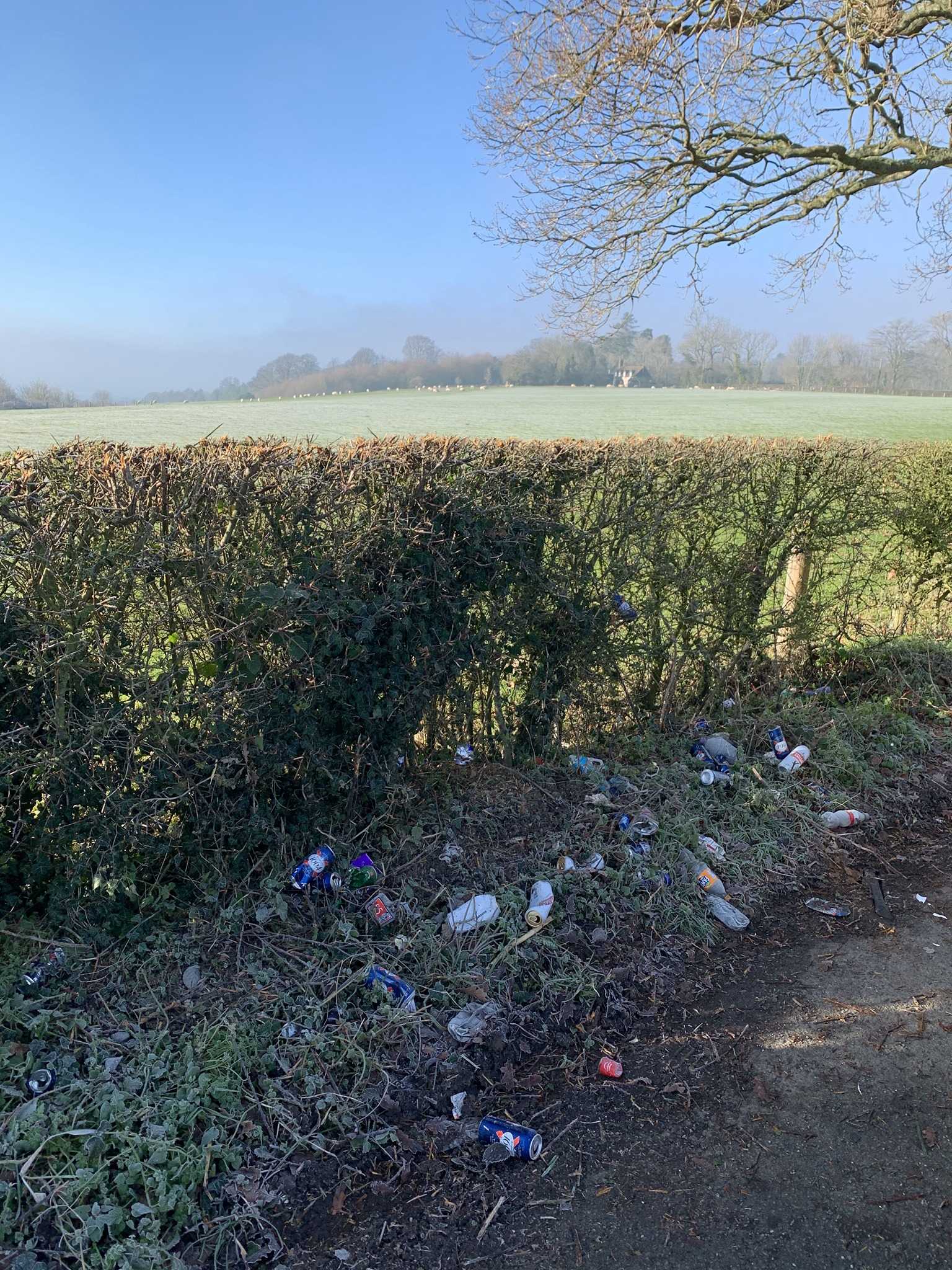 Dumped rubbish in a country hedgerow